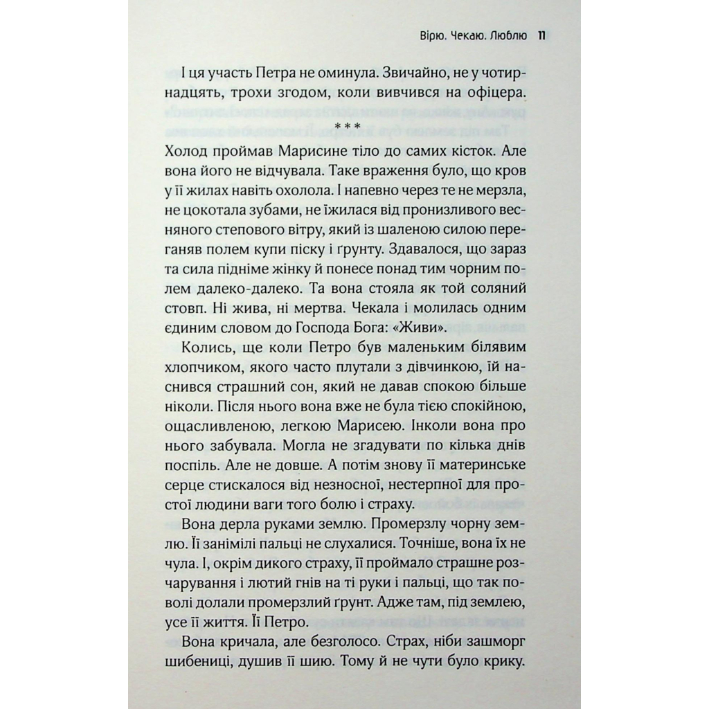 Львів. Ночі. Світанки - Ніка Нікалео та ін. КСД (9786171516243) фото