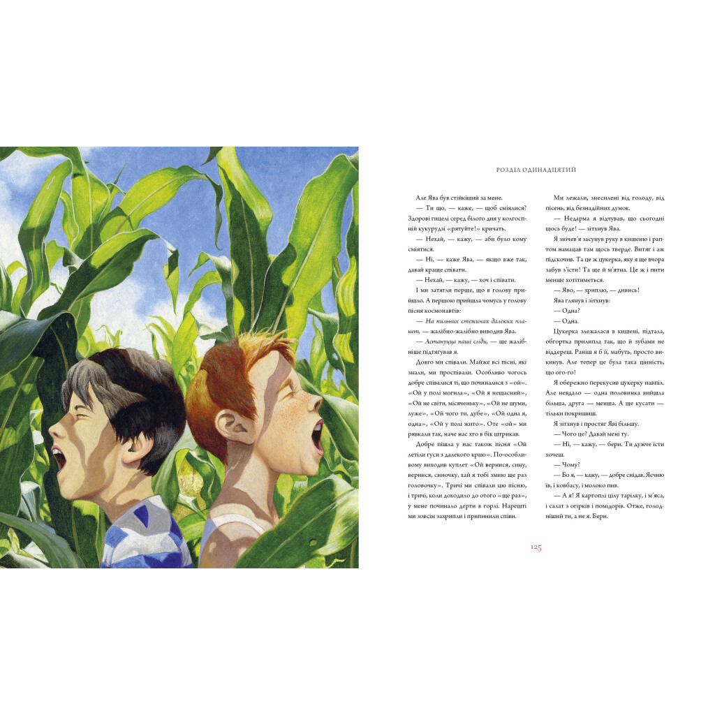Тореадоры из Васюковки. Большое иллюстрированное издание. первая – Всеволод Нестайко А-ба-ба-га- фото