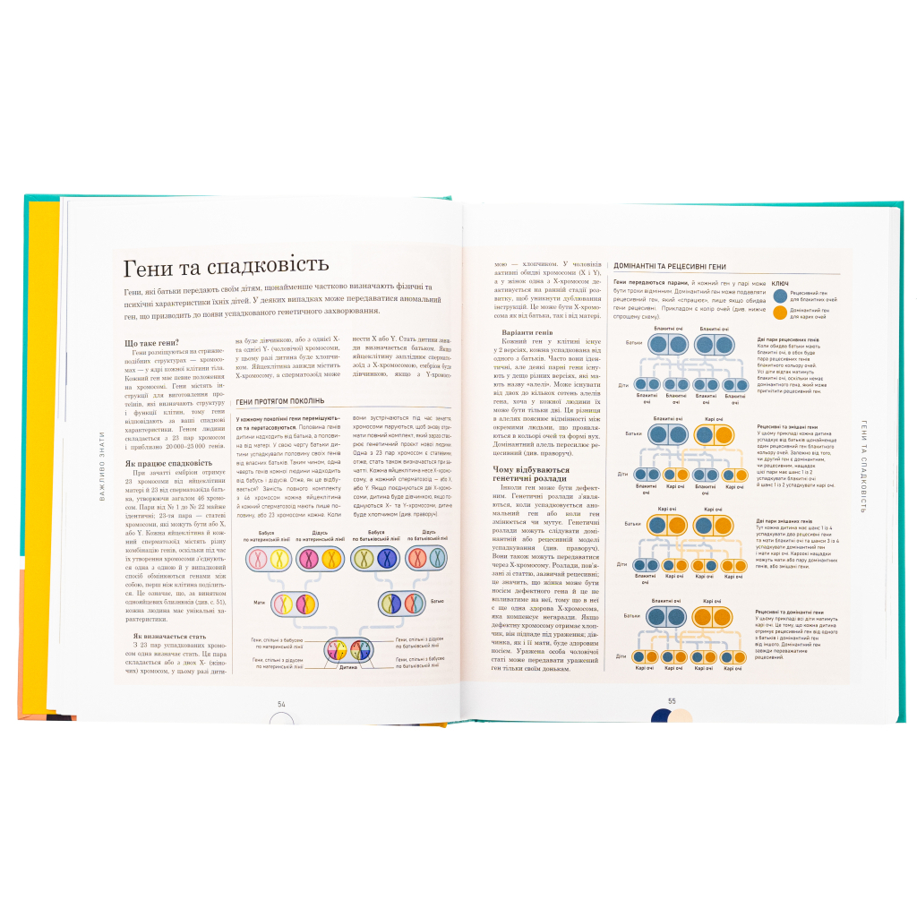 Практична психологія. Вагітність день за днем - Меґґі Блотт Ранок (9786170991058) фото
