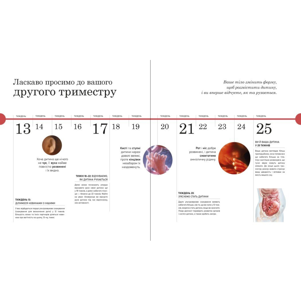 Практична психологія. Вагітність день за днем - Меґґі Блотт Ранок (9786170991058) фото