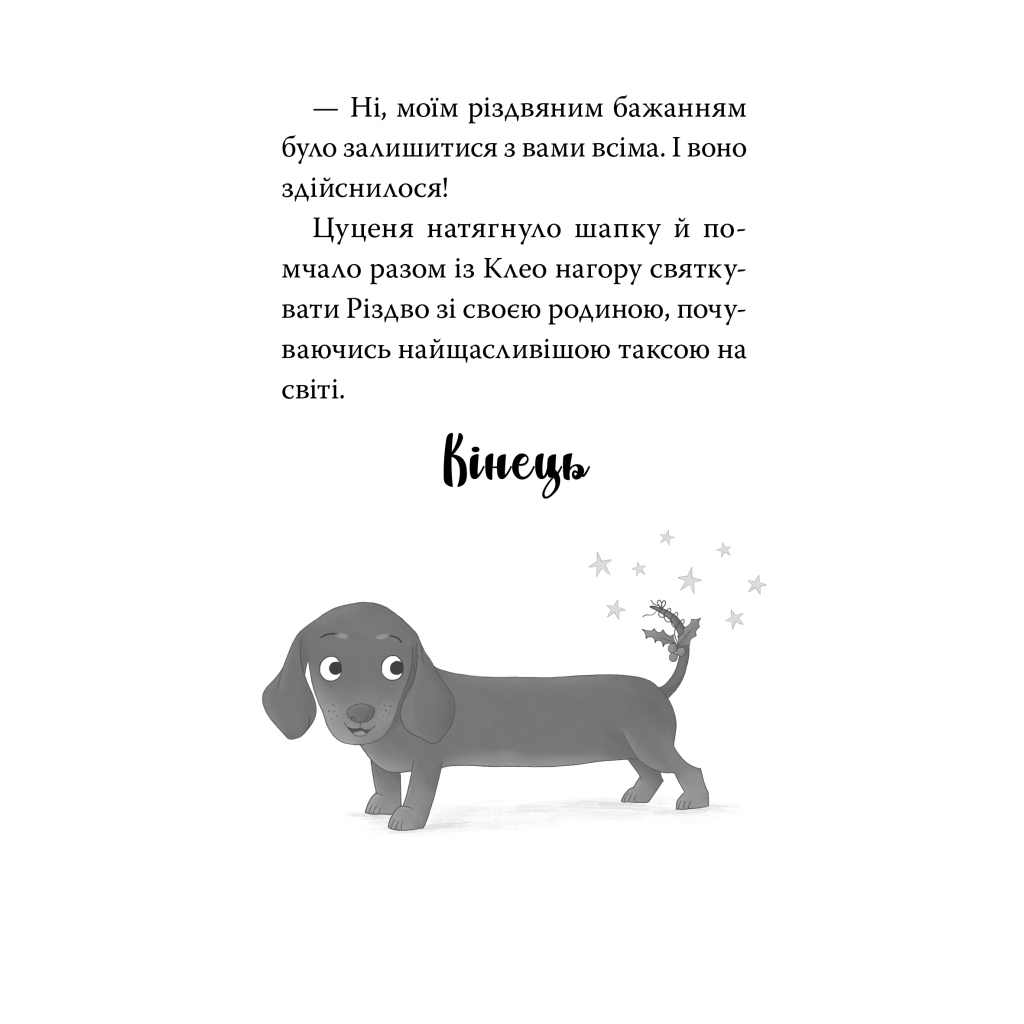 Такса. Санта - Белла Свіфт Видавництво РМ (9786178603434) фото