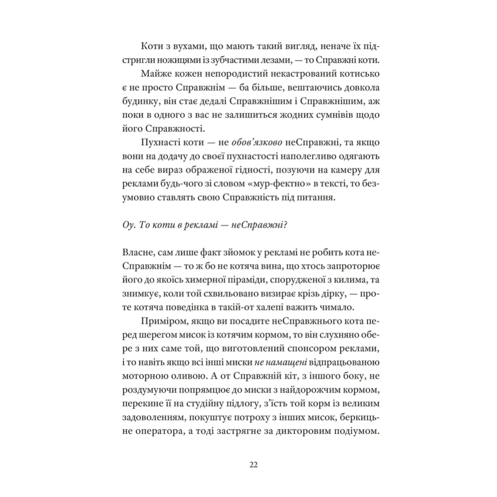 Справжнісінький кіт - Террі Пратчетт Видавництво Старого Лева (9789664481394) фото5