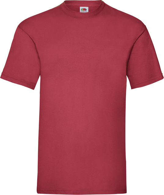 Футболка хлопоковая мужская Fruit of the Loom Valueweight 0610360-BX XL сливовая фото27