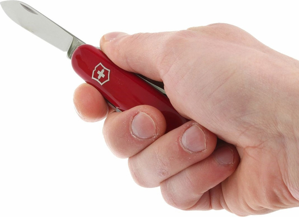 Нож Victorinox Bantam 84мм, 8функ, червь (Vx02303) фото2