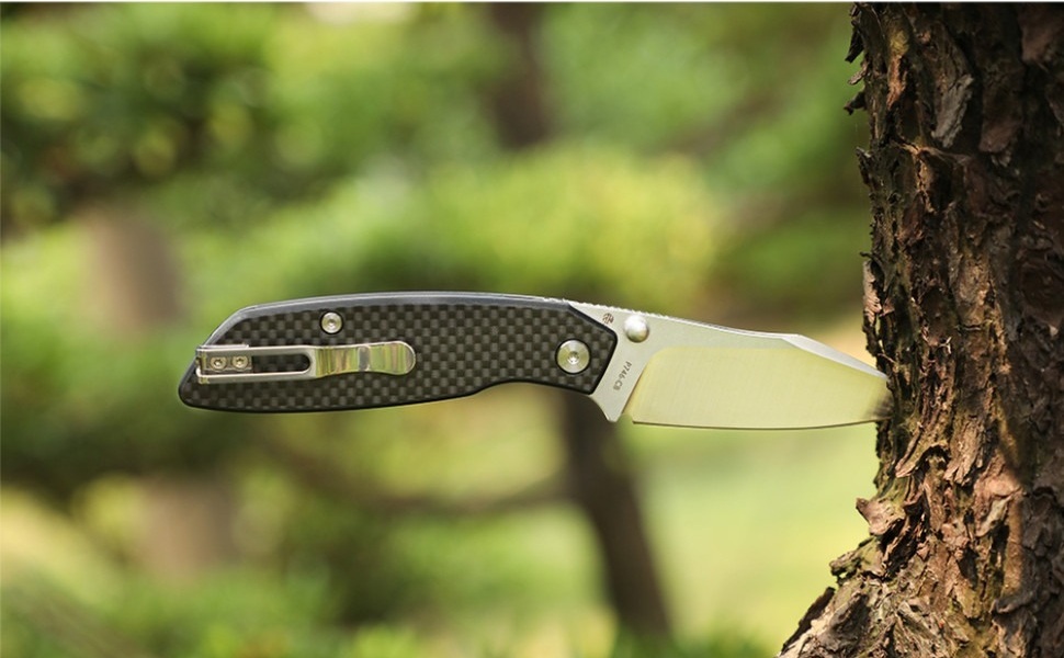 Ніж складаний туристичний Ruike P746-CB, (8 см) 14C28N / G10 чорний (P746-CB) фото11