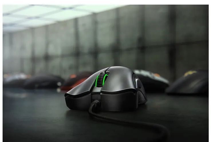 Игровая мышь Razer DeathAdder Essential Black (RZ01-03850100-R3M1) фото
