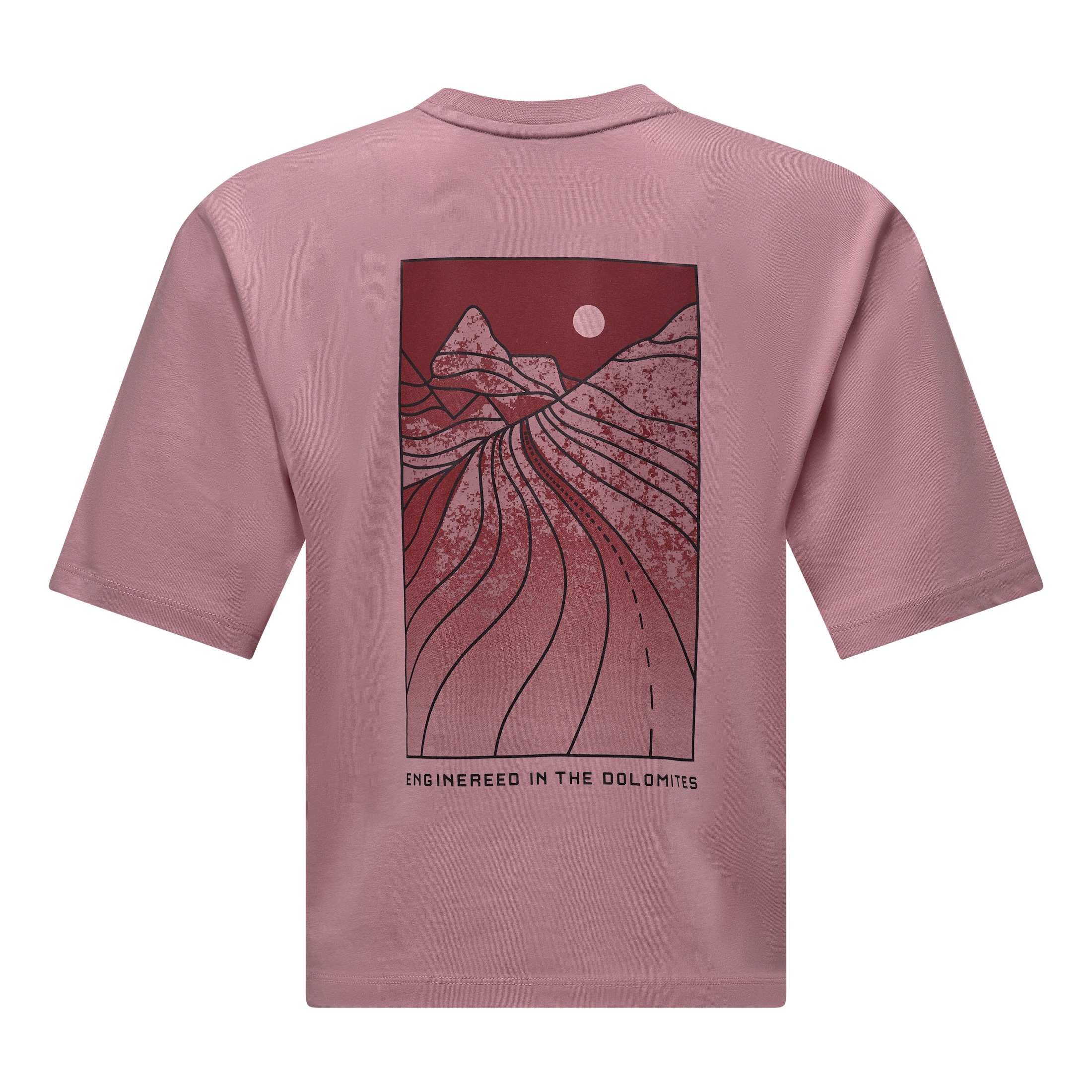 Футболка жіноча Salewa Eagle Sunset Loose 29107-6590 XXS рожева фото2