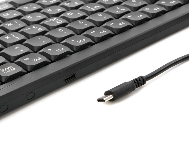 Клавиатура A4Tech с ножничными переключателями Fstyler, USB FX53 (Black) фото