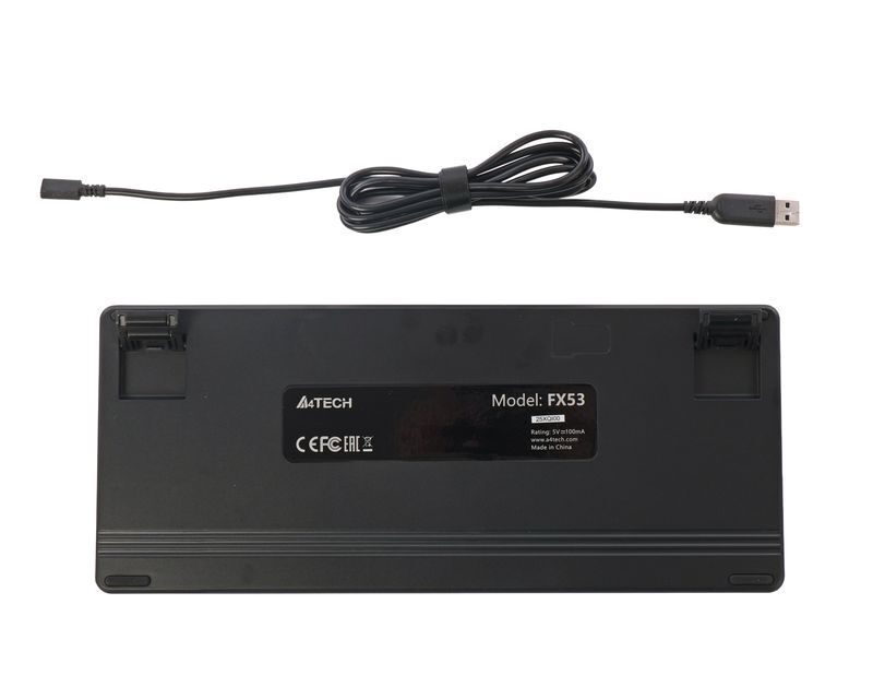 Клавиатура A4Tech с ножничными переключателями Fstyler, USB FX53 (Black) фото