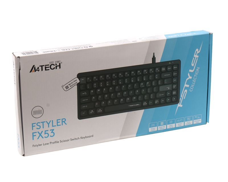 Клавиатура A4Tech с ножничными переключателями Fstyler, USB FX53 (Black) фото
