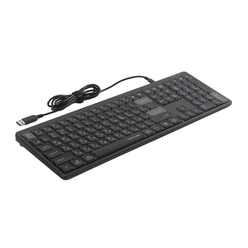 Клавиатура A4Tech с ножничными переключателями Fstyler, USB FX55 (Black) фото