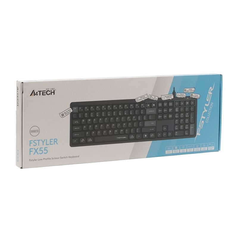 Клавиатура A4Tech с ножничными переключателями Fstyler, USB FX55 (Black) фото
