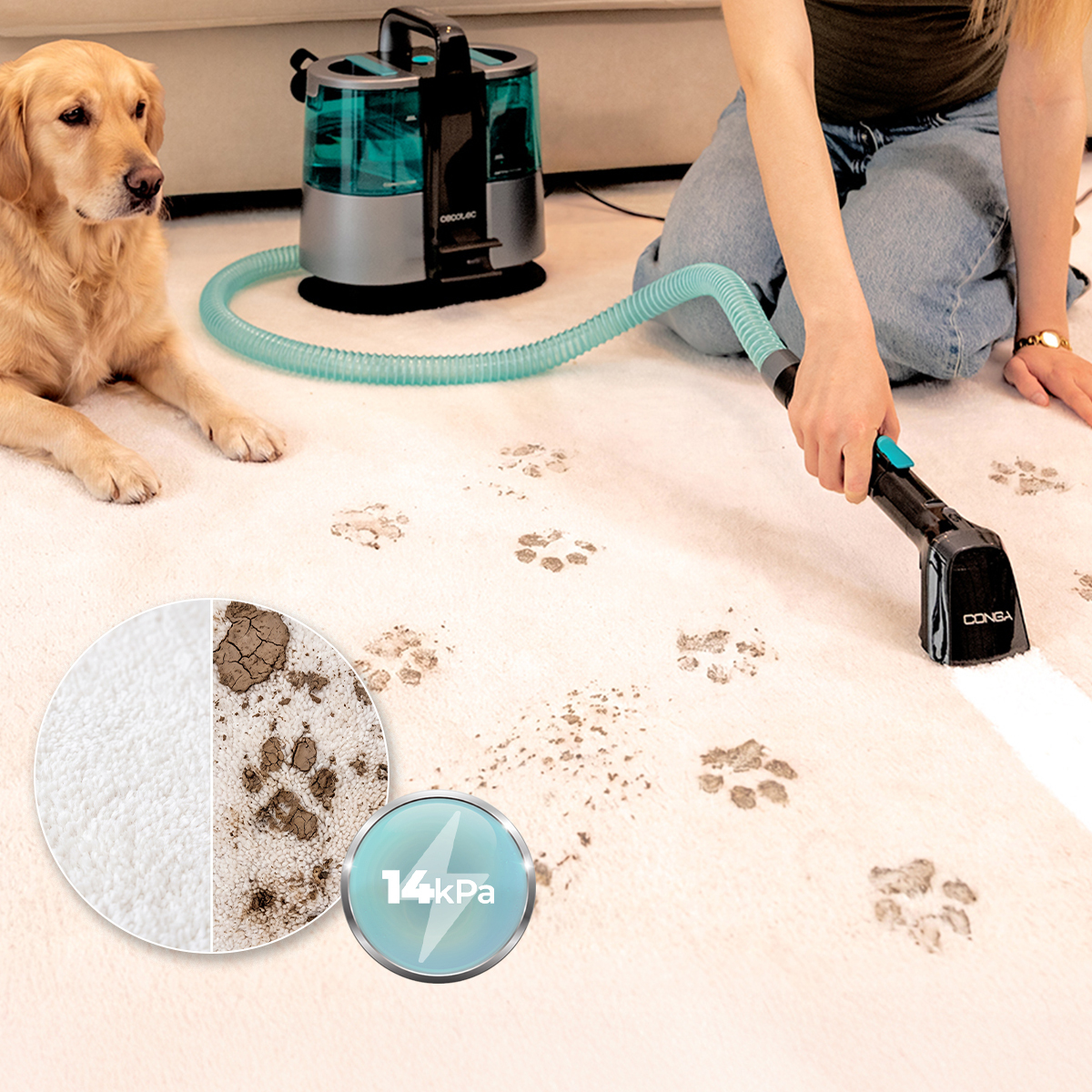 Пылесос моющий Cecotec Conga 6000 Carpet&Spot Clean XL (A01_EU01_122354) фото7