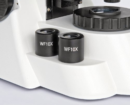 Микроскоп Bresser BioScience Trino 40x-1000x (5750600/10077) фото
