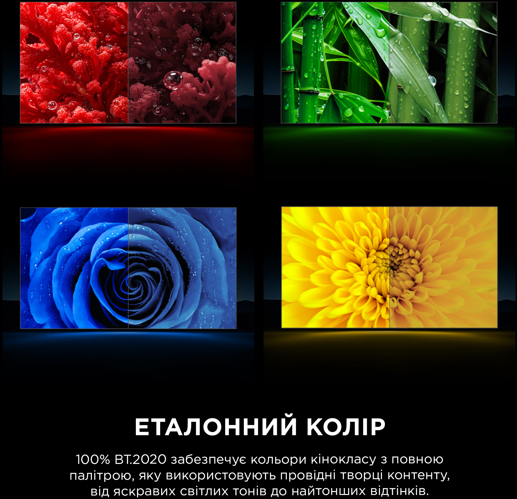 Телевизор TCL RGB Mini LED 115RM9L фото9