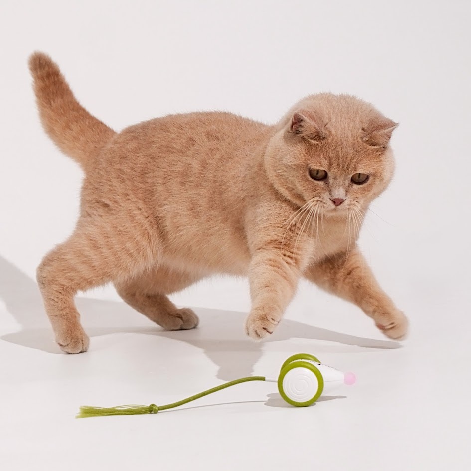 Интерактивная умная игрушка-мышка для кошек Cheerble Wicked Mouse Green (CWJ03G) фото4