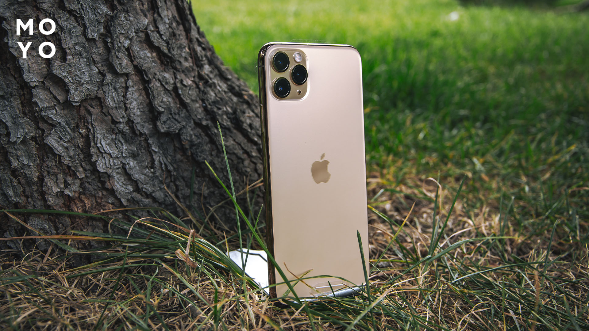 iPhone 11 Pro на траві