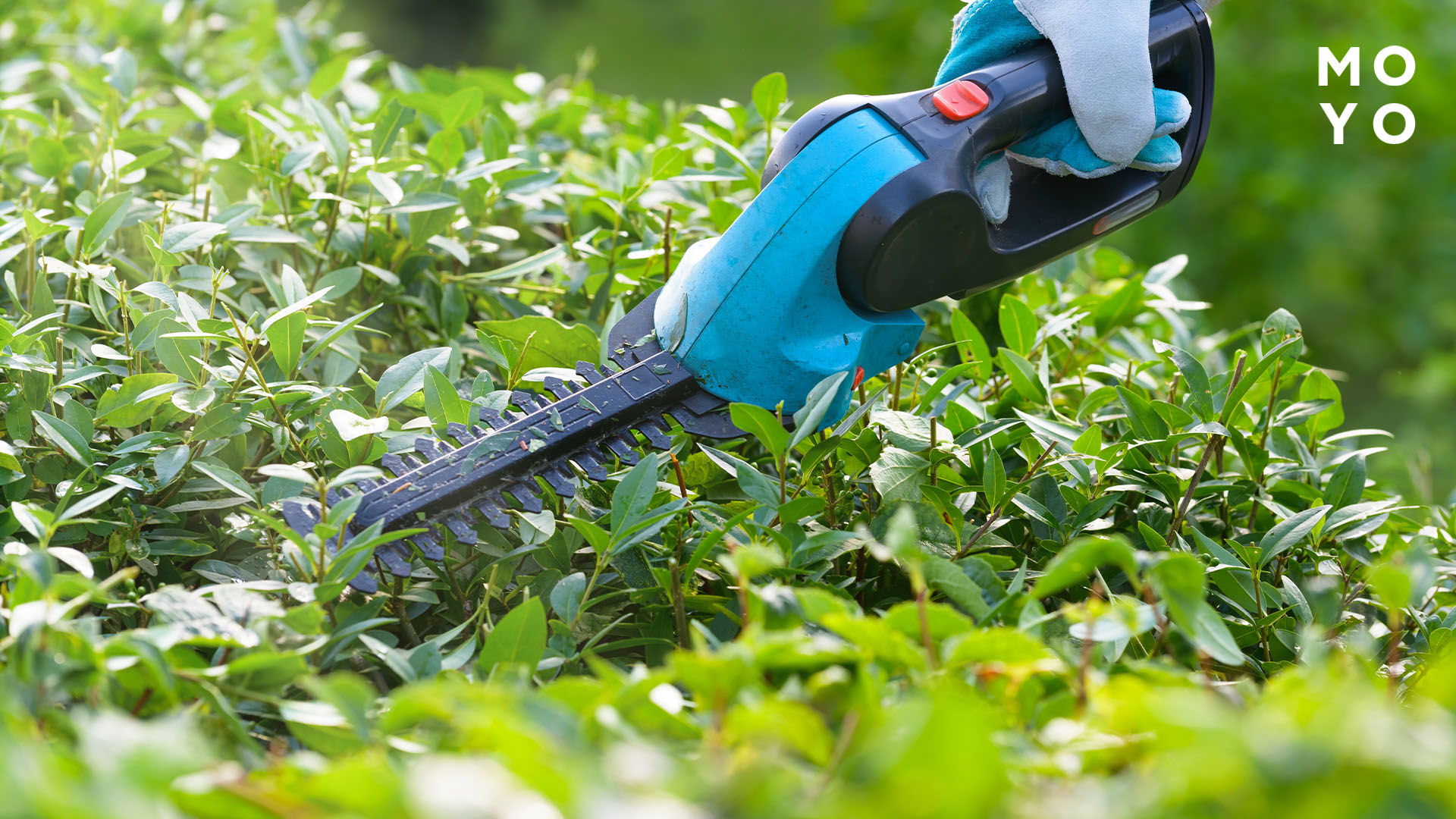 аккумуляторный кусторез