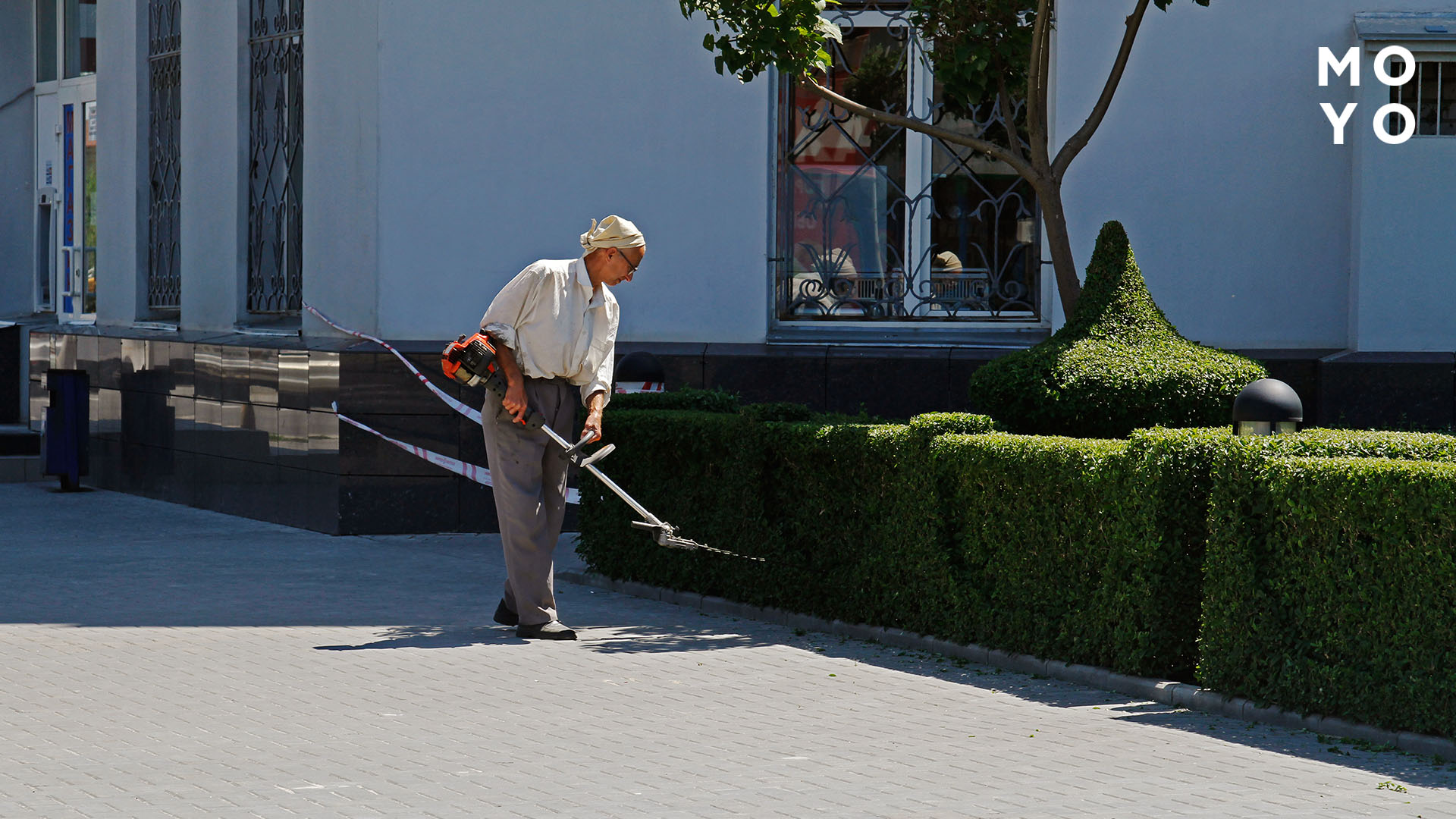 Телескопический кусторез для живой изгороди