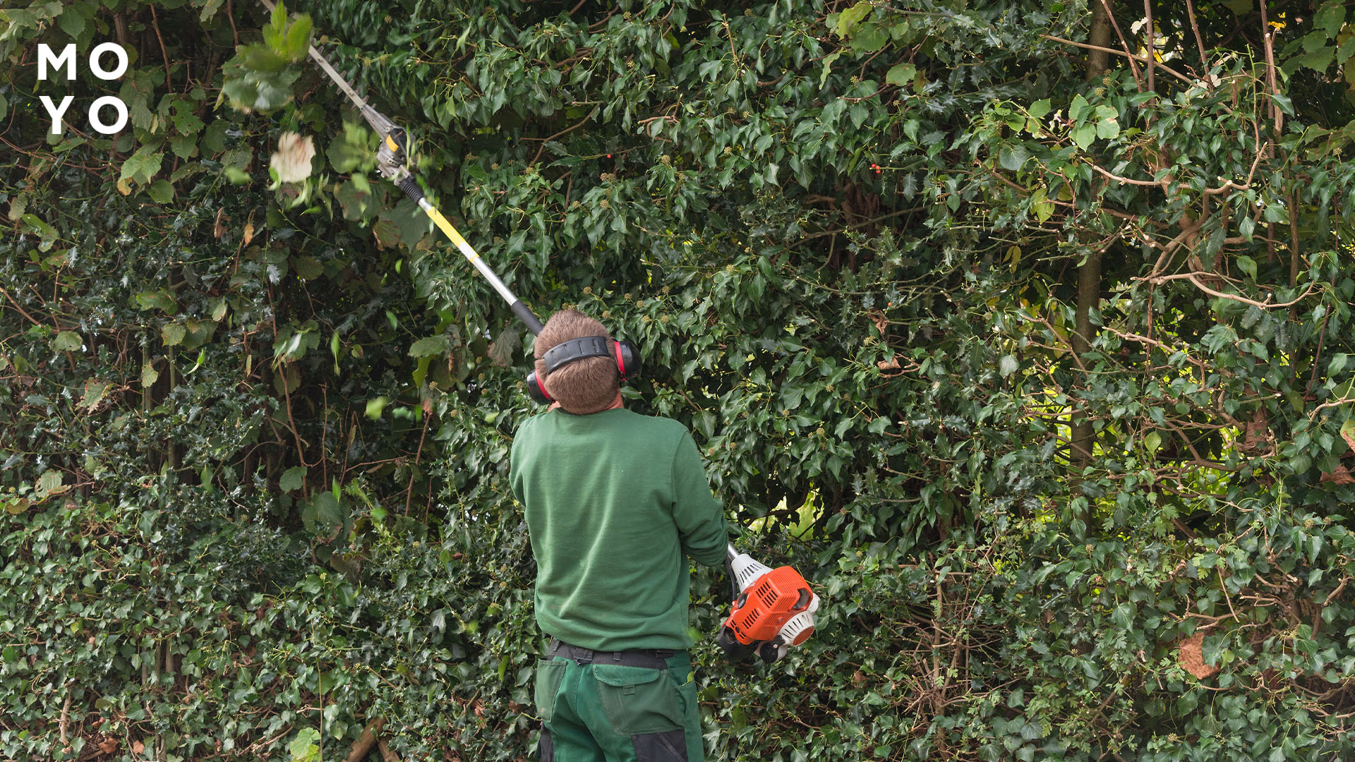 Чистка зарослей кусторезом