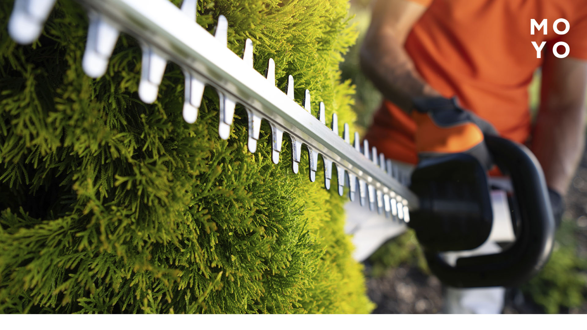 кусторез в использовании 