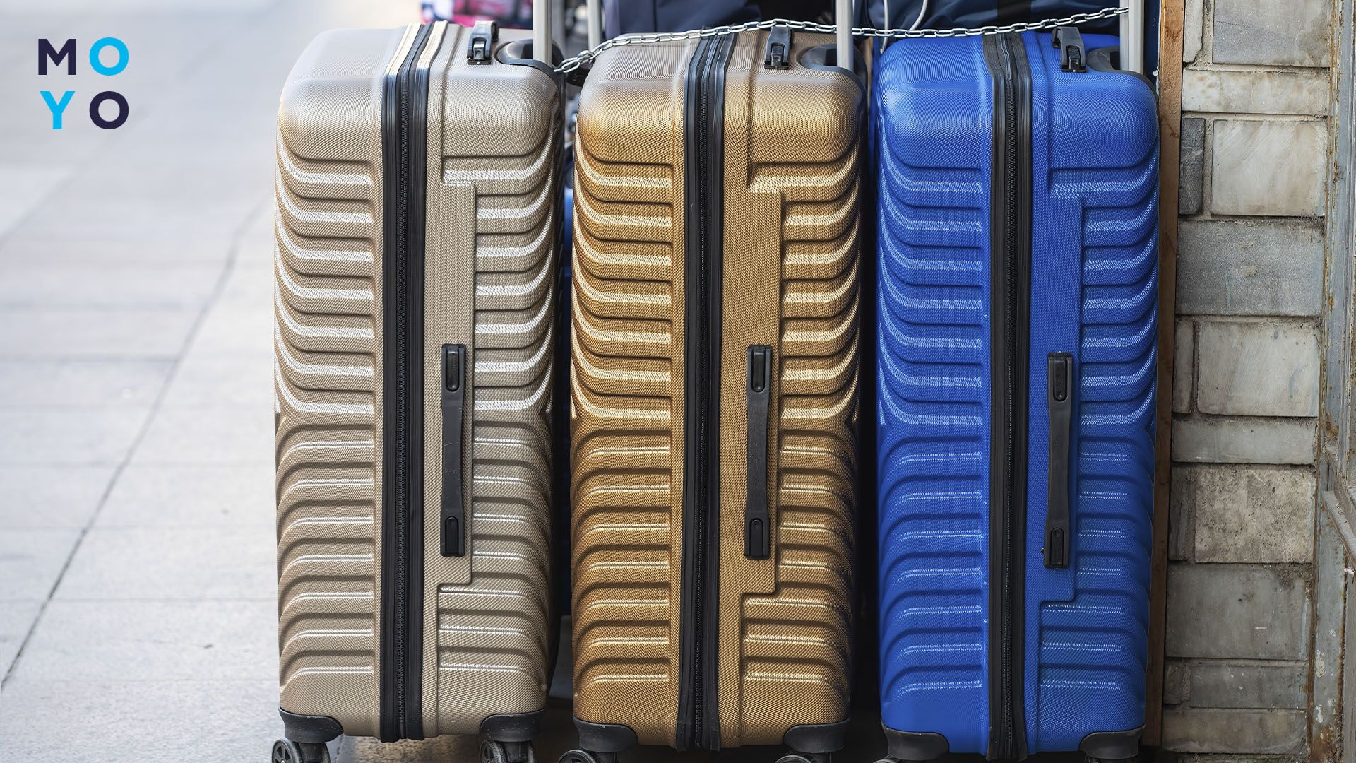 чемоданы Wenger разной расцветки
