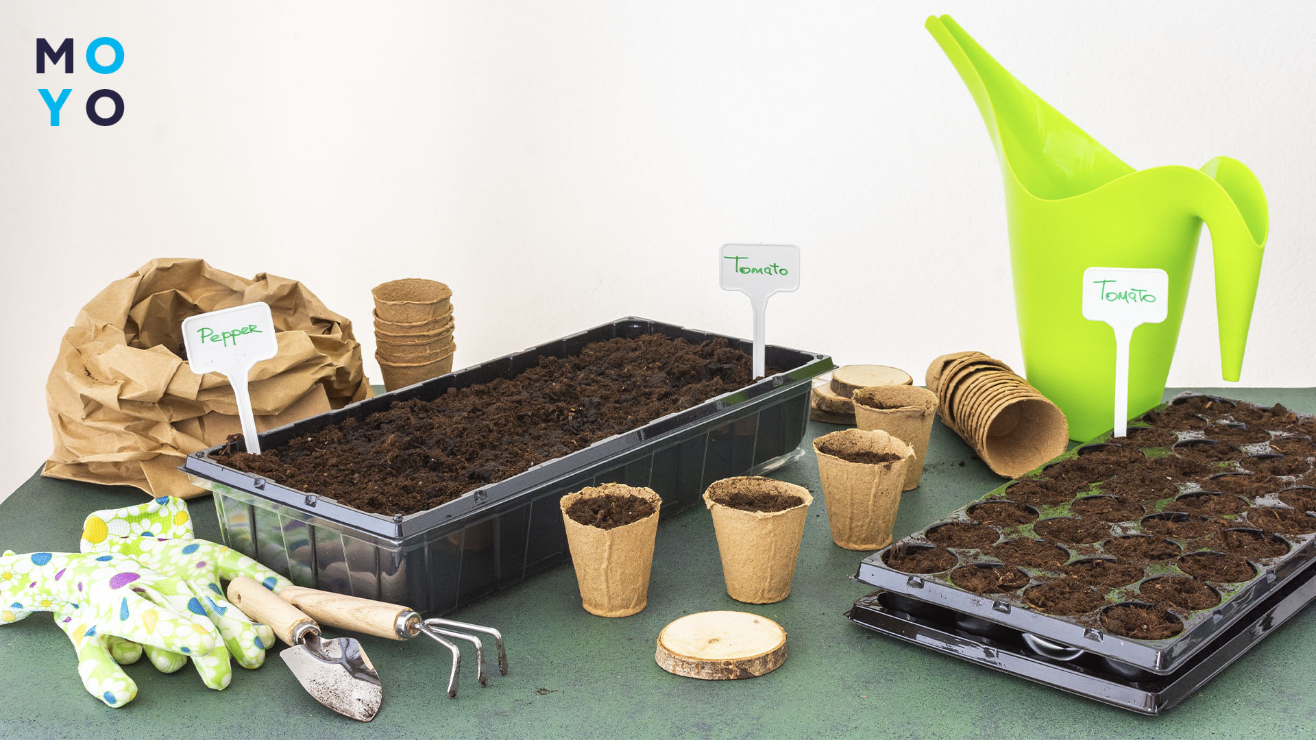 оживить и вырастить старые семена