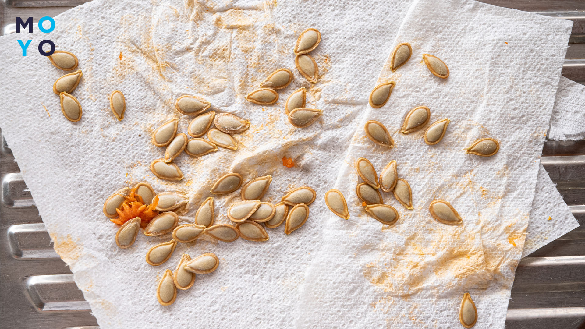 промытые тыквенные семечки на семена