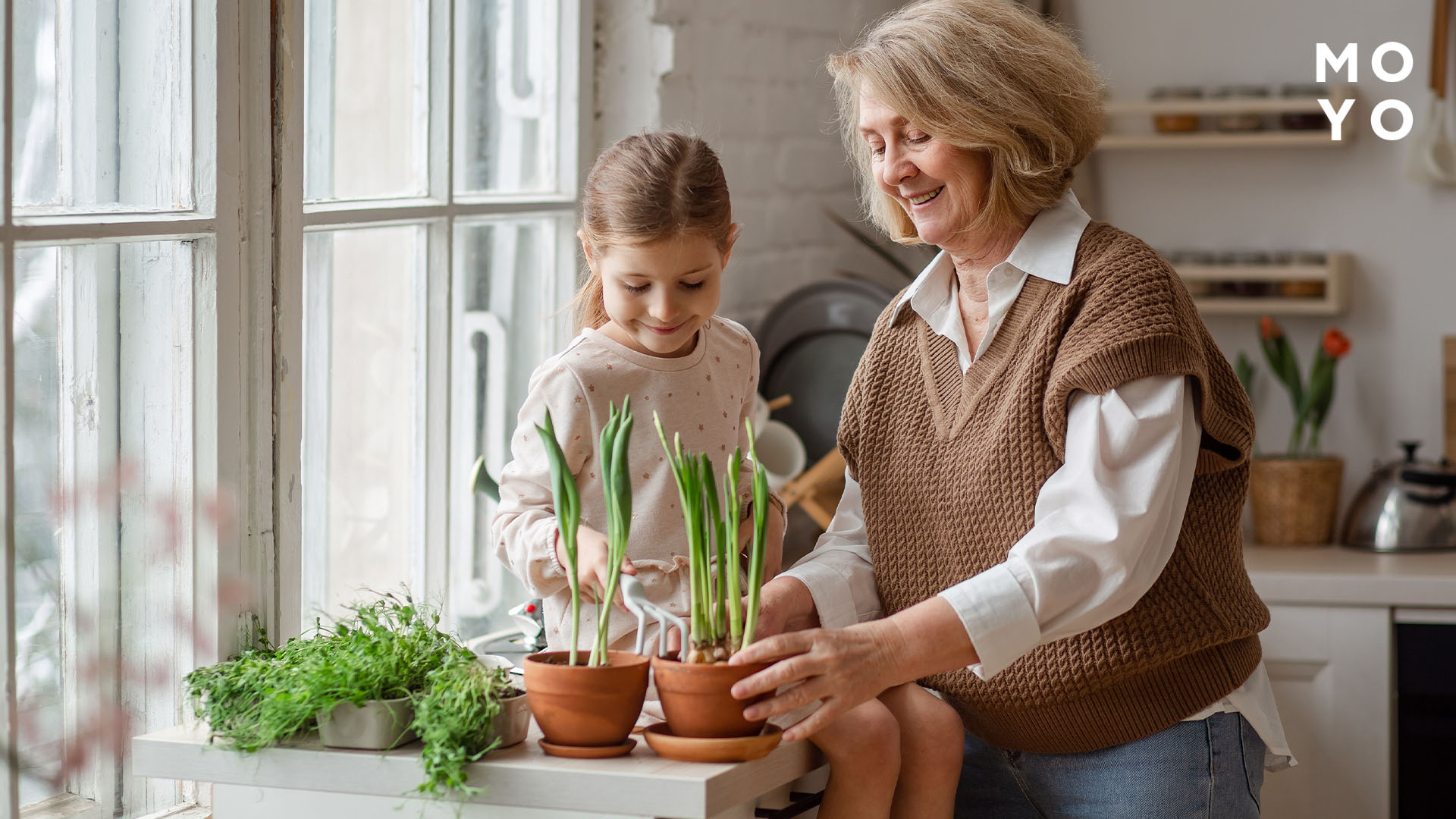 рассада на столе возле окна