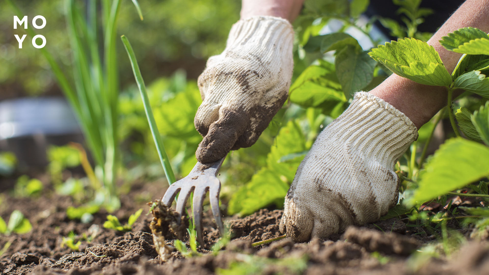 Виполювання бур'яну на городі