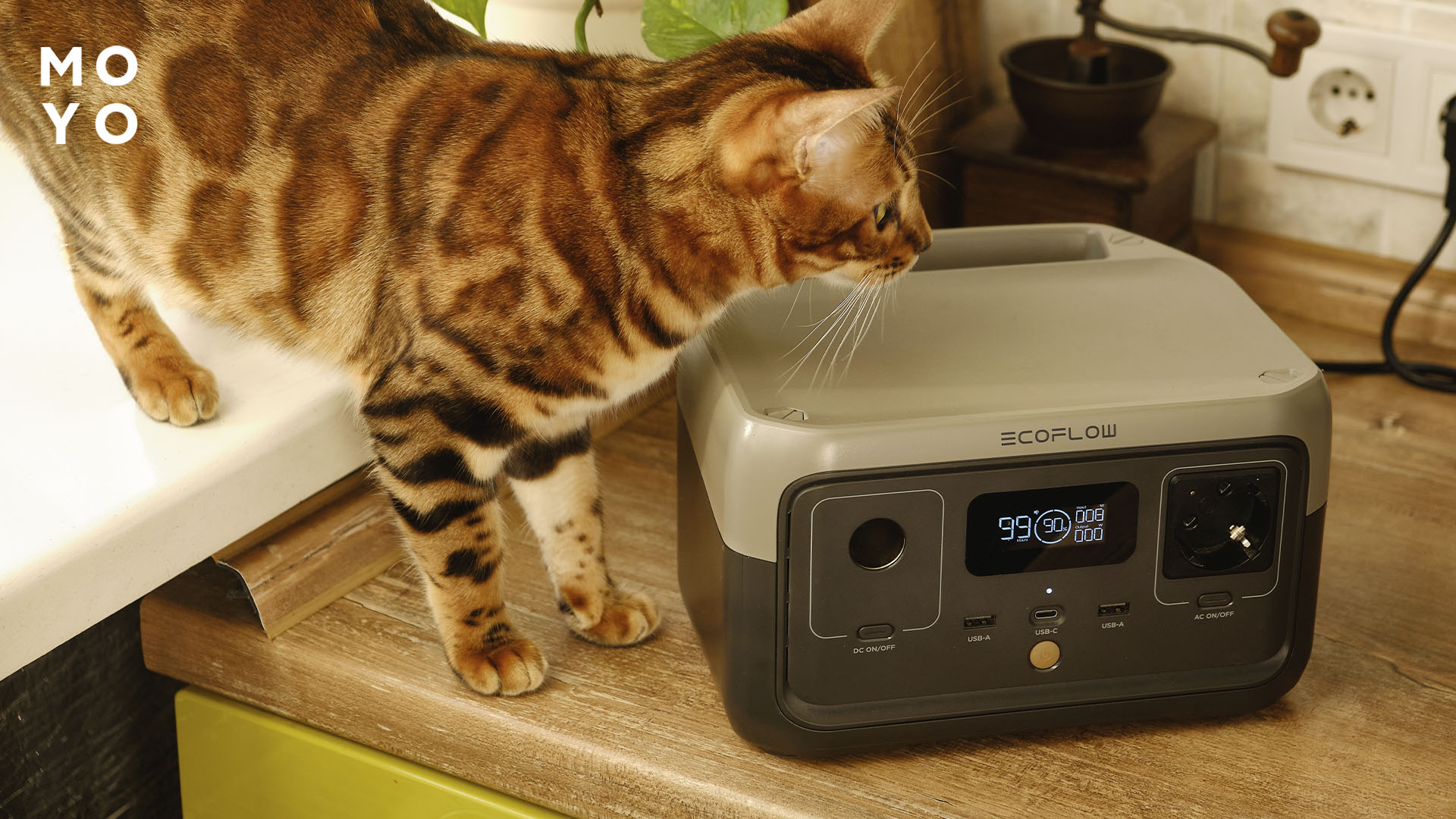 как выбрать экофлоу