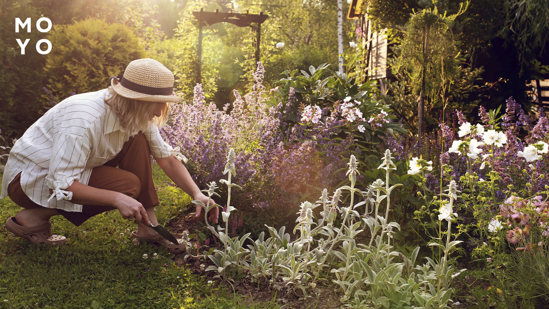 Неприхотливые растения для дачи