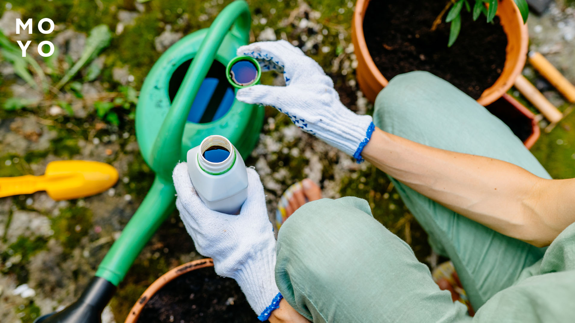 дозировка удобрения в соотношении с водой