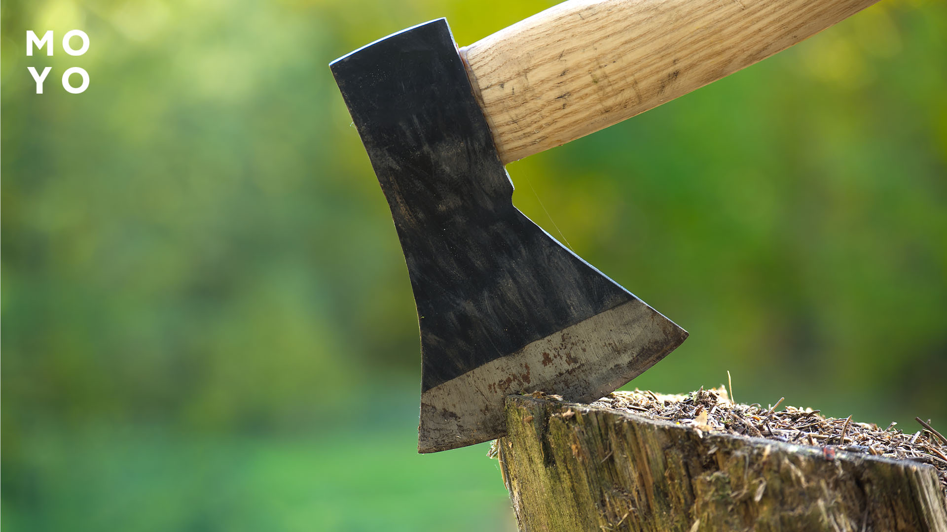 вибір туристичної сокири