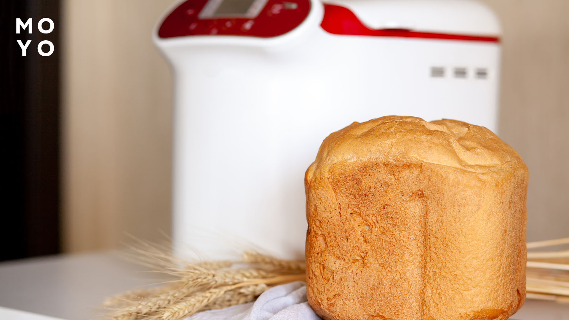  Ведерко хлебопечки (вид сверху и снизу)