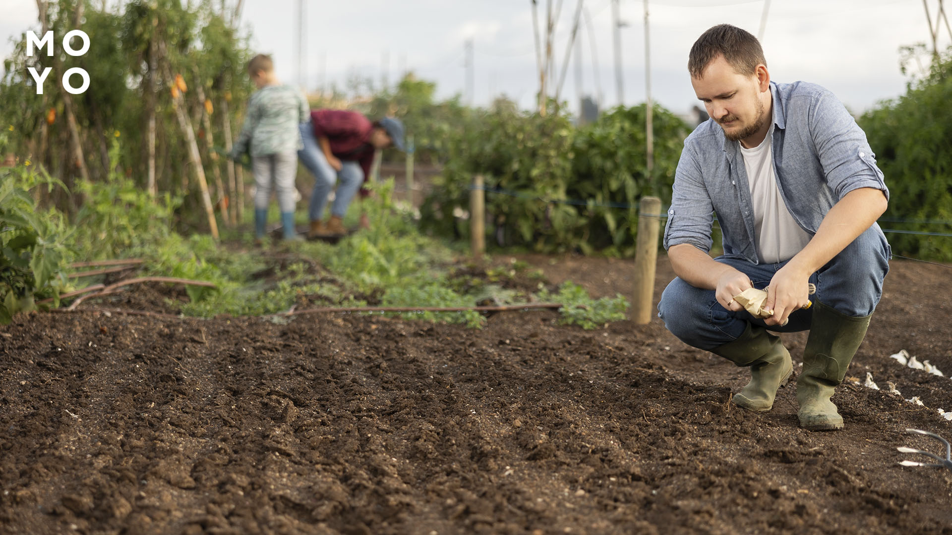 несприятливі дні для рослин у серпні 2025 року