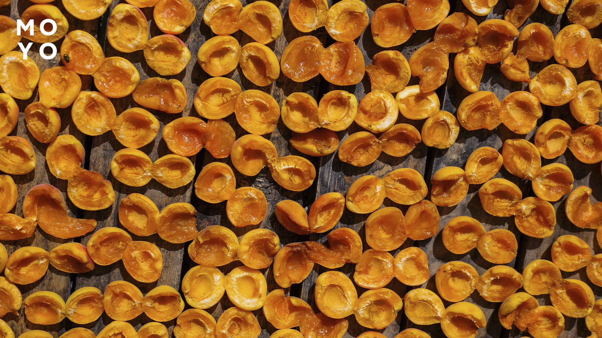 абрикоси сушаться на сонці