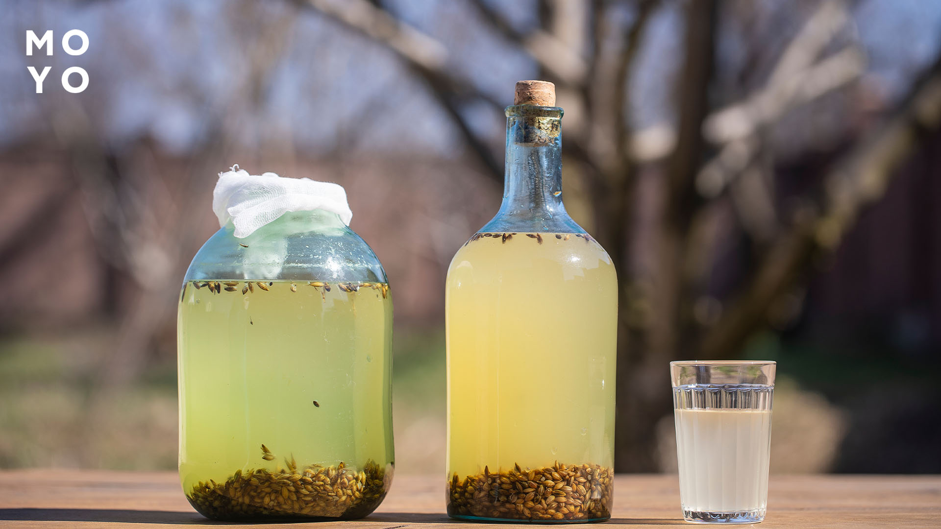 Лимонад із перловки