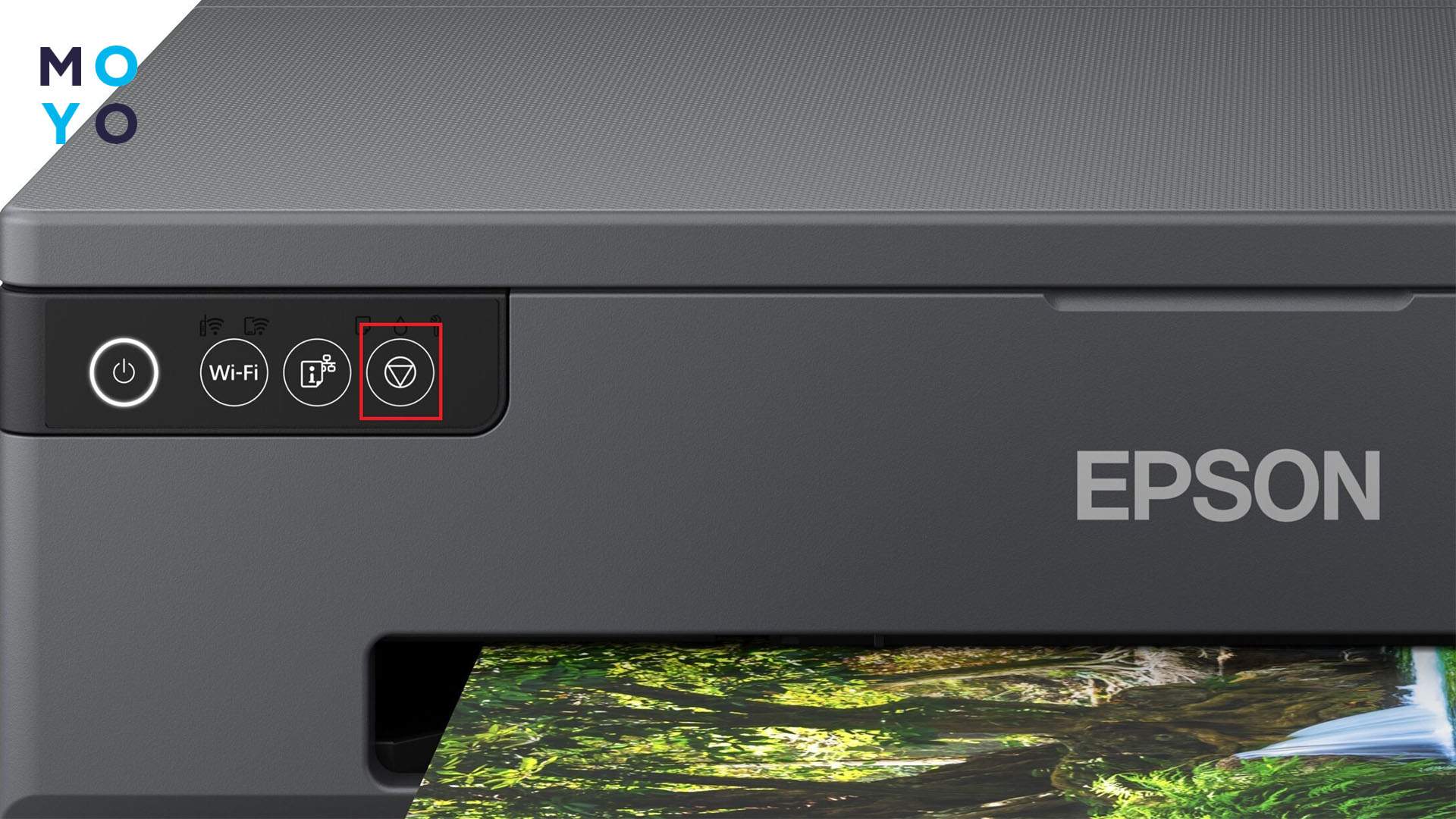 принтер Эпсон