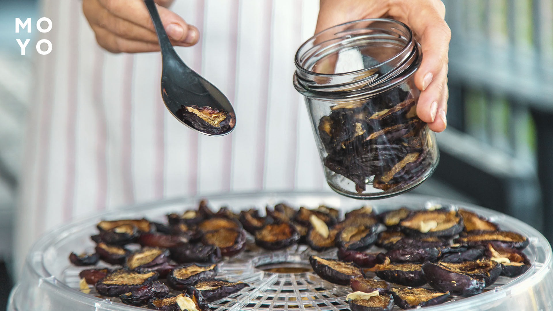 сливы высушенные в сушилке