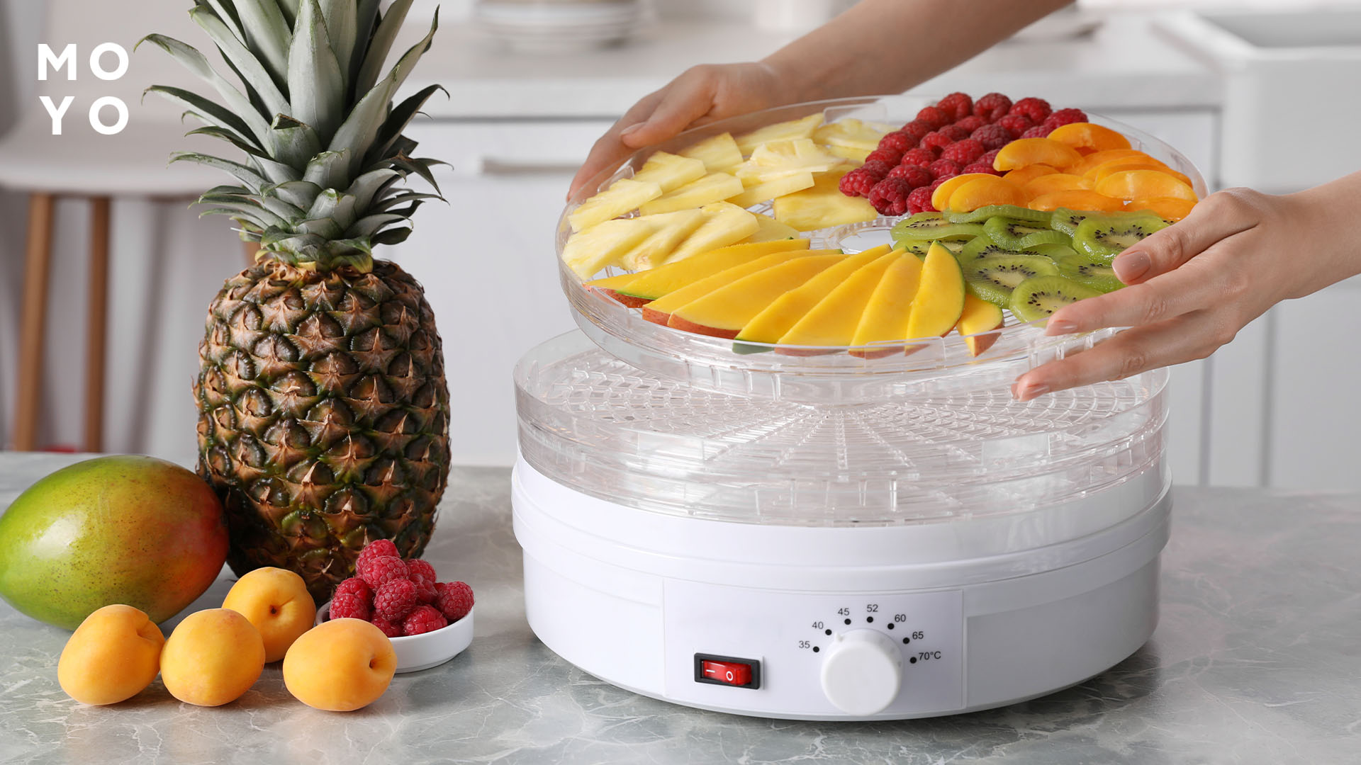 поднос с нарезанными фруктами в сушилку