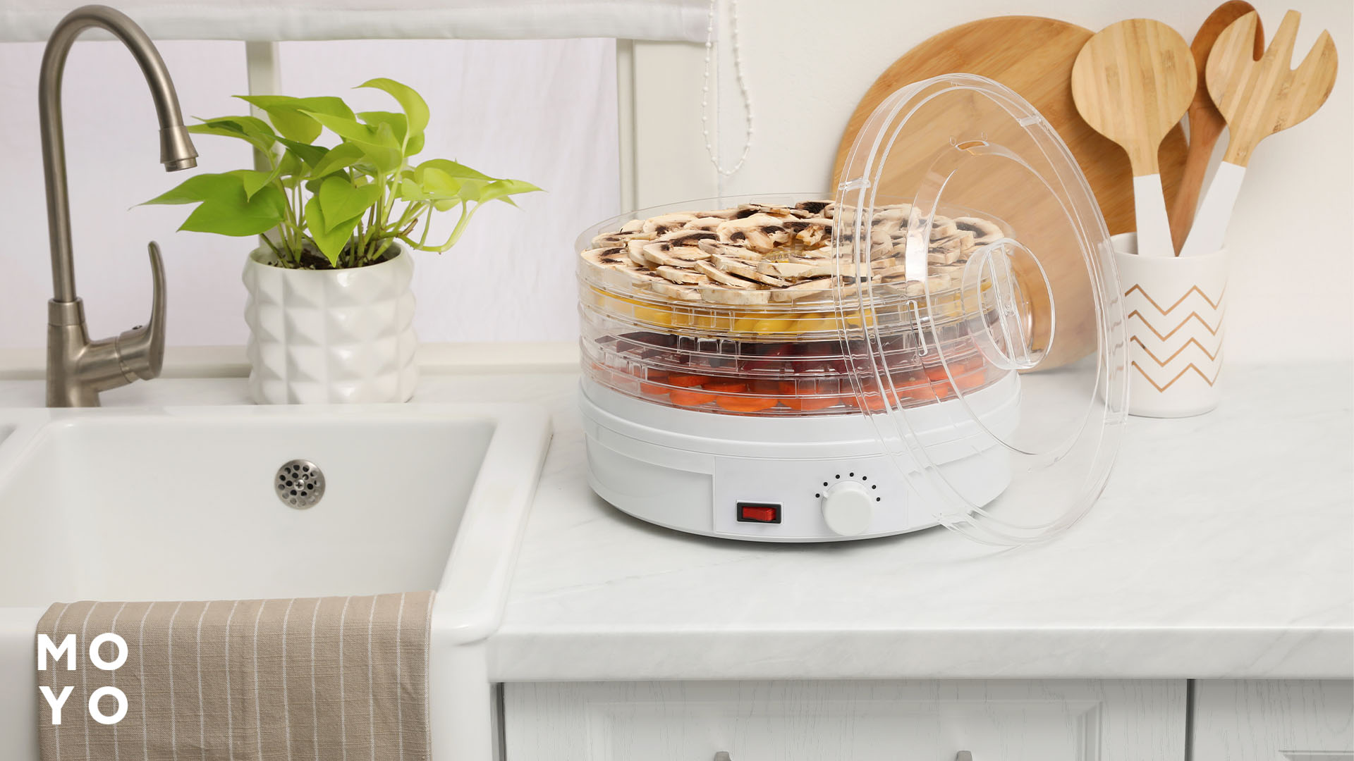 Разновидности сушилок для еды