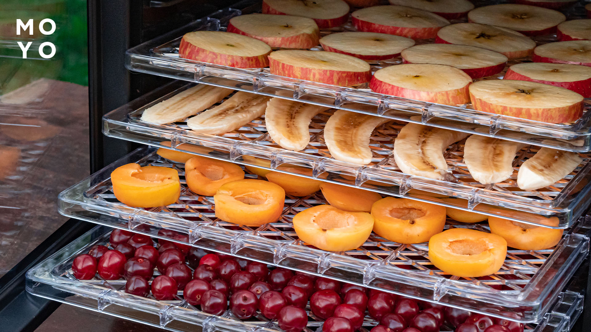 Що приготувати в сушарці