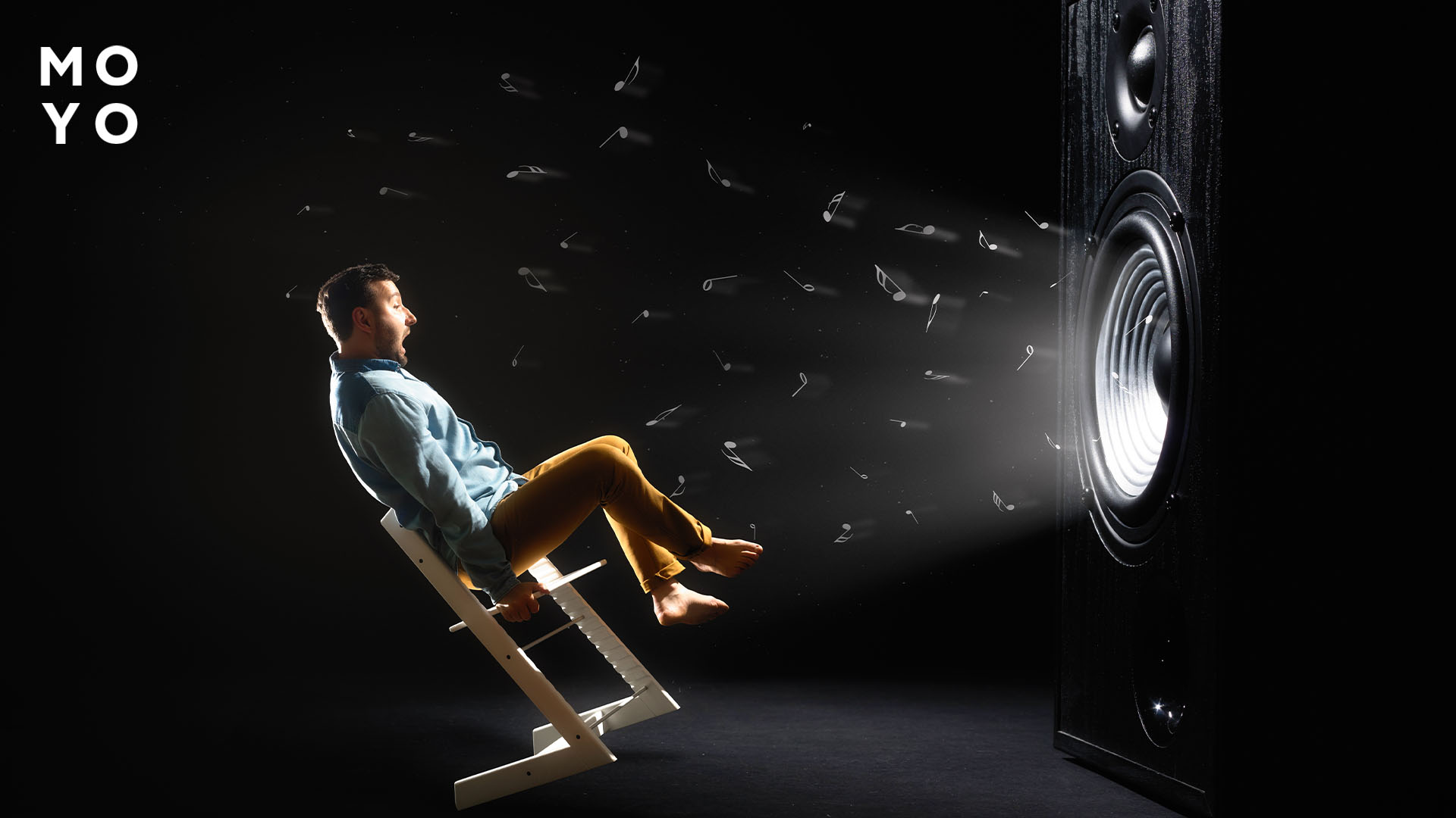 стереофоническая акустическая система