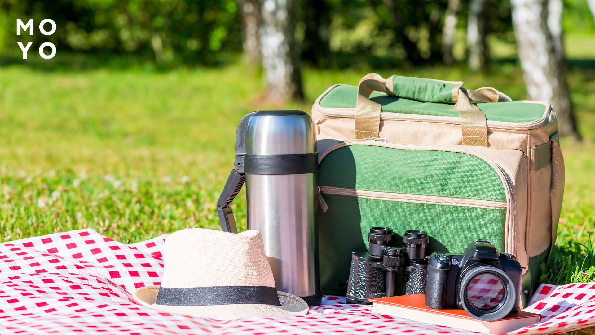 Сумка-холодильник для пікніків