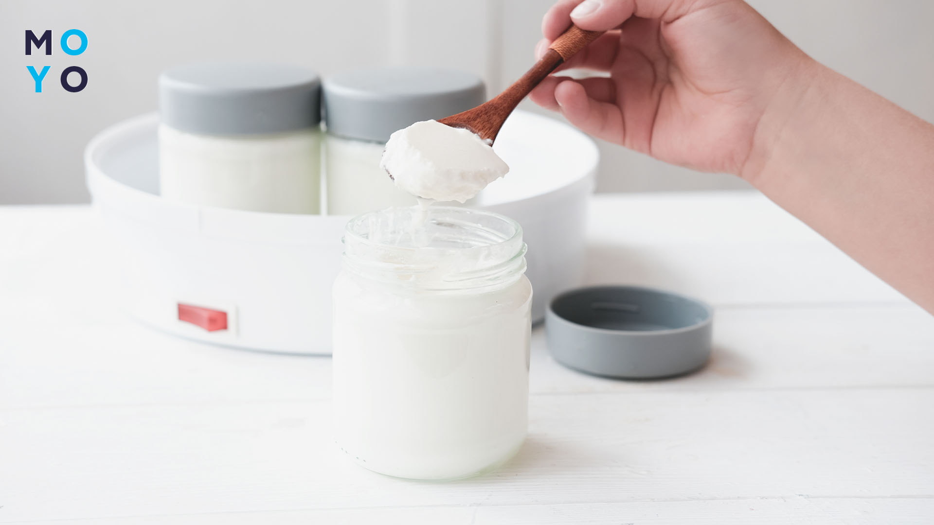 Види йогуртниць