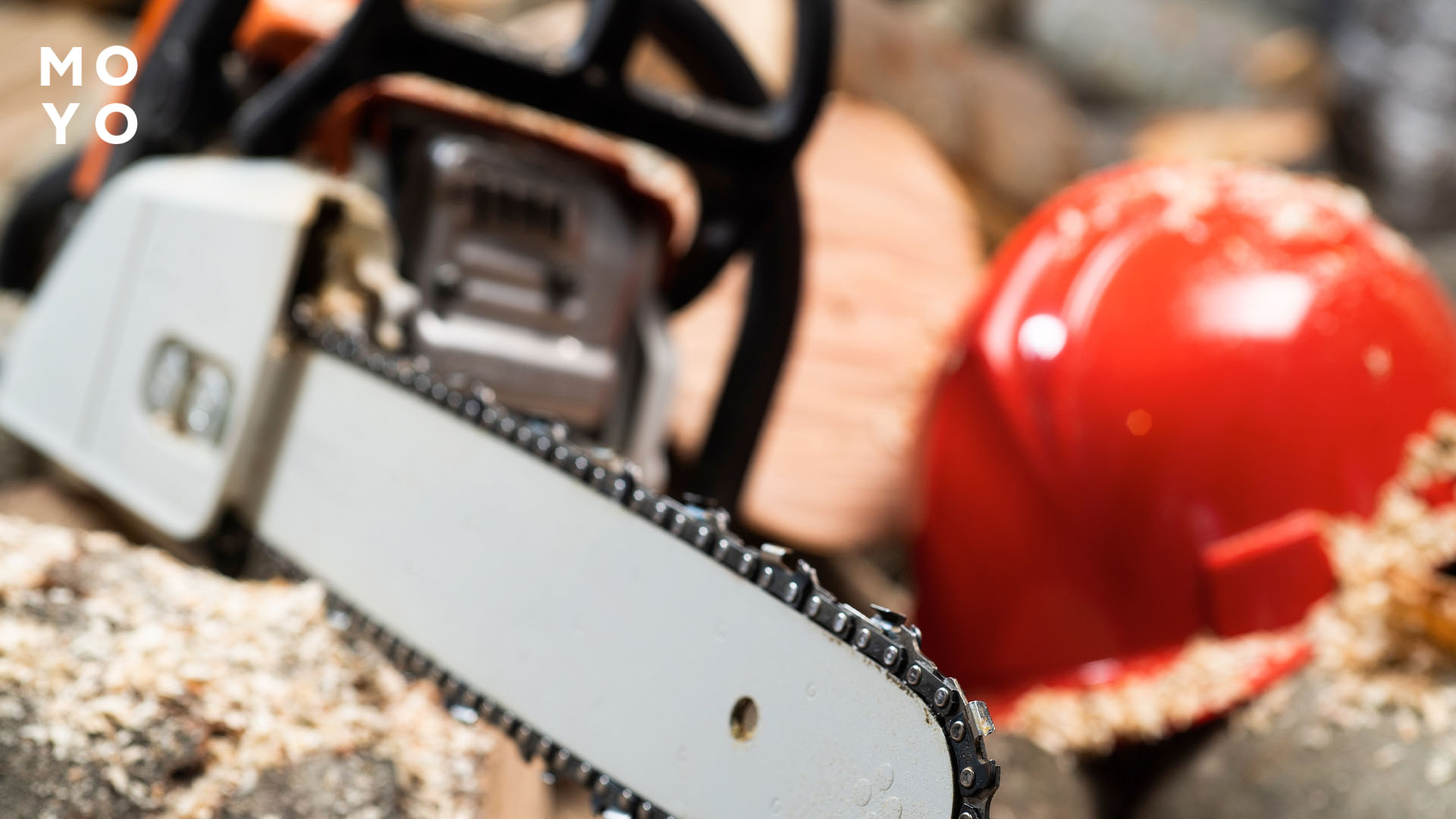 лесозаготовка