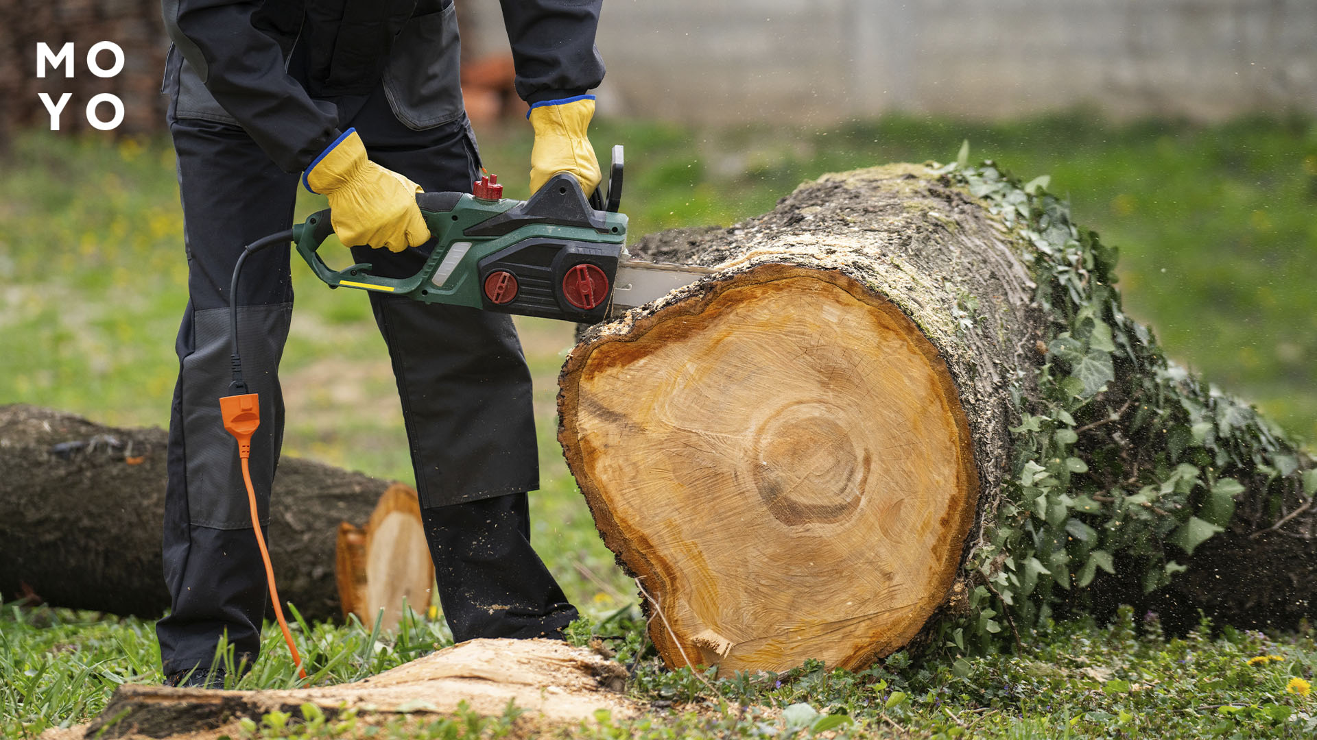 Цепные электропилы