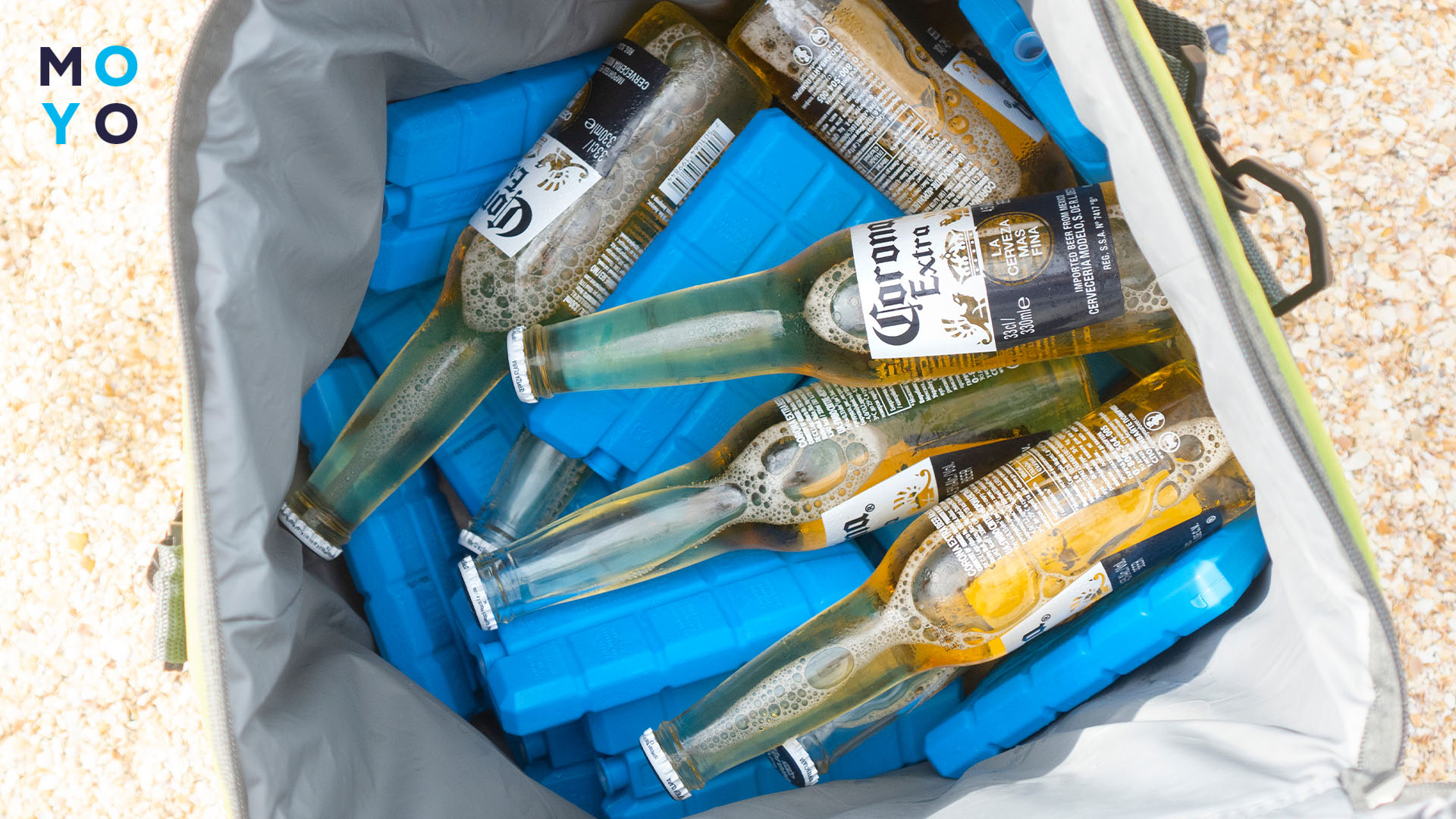 аккумуляторы холода в сумке