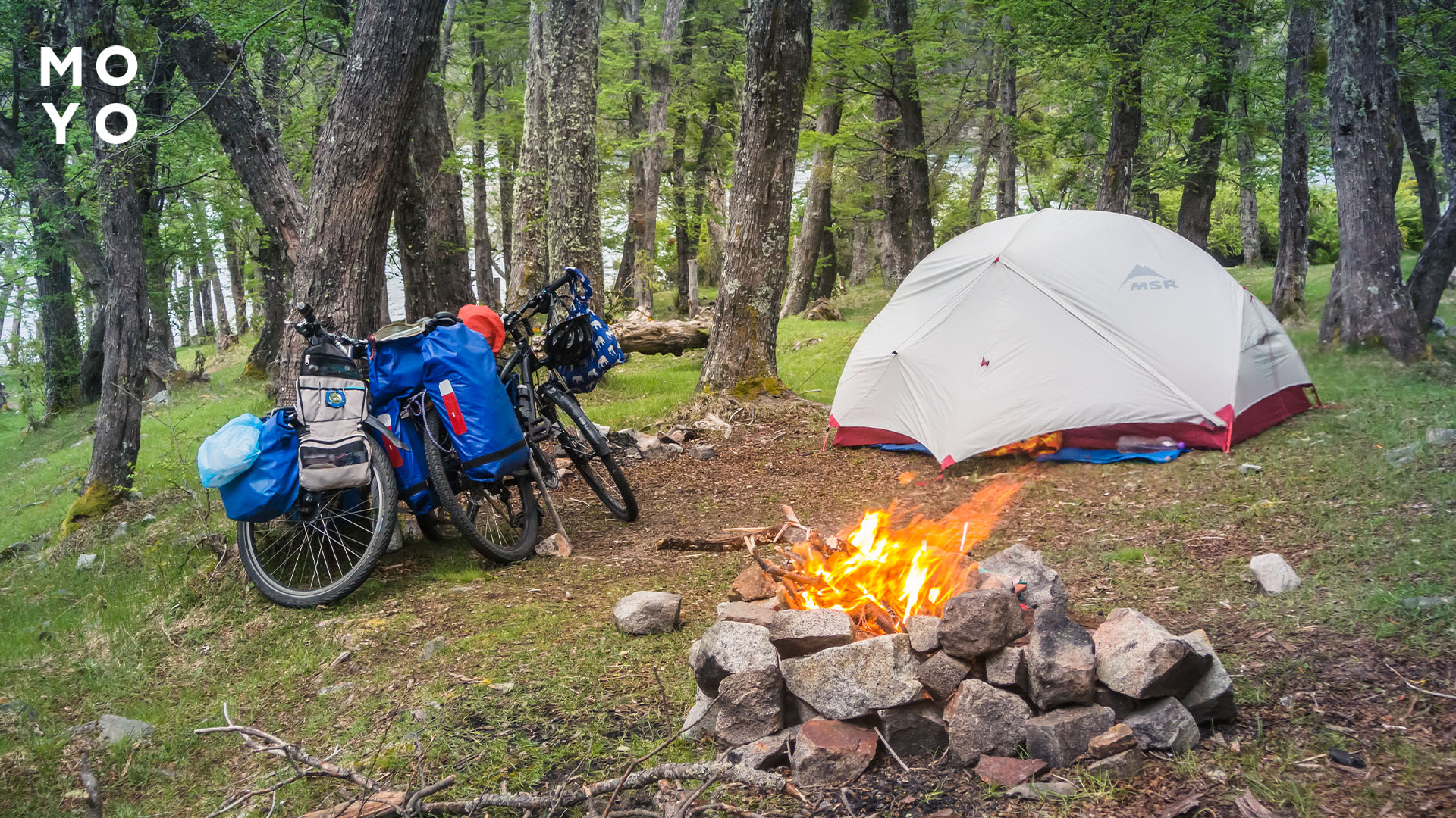організувати табір відпочинку